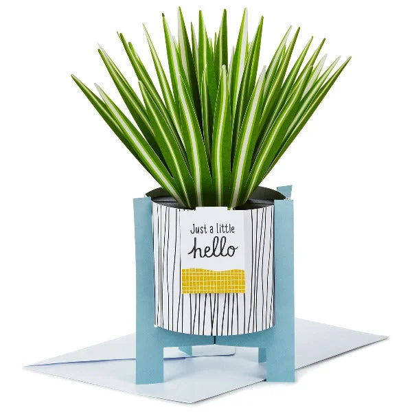 Hallmark Spider Plant Keep Growing 3D Pop-Up Hello Card